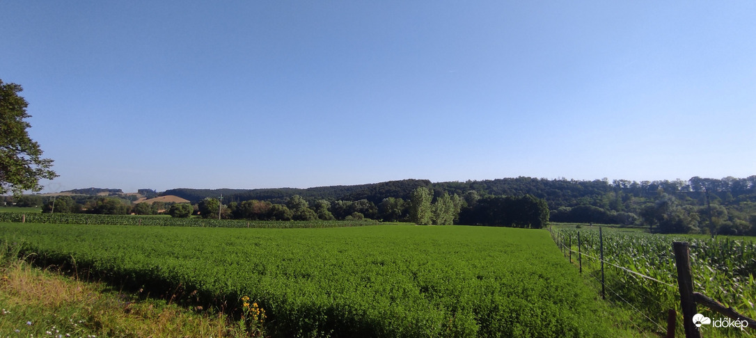 Csesznek