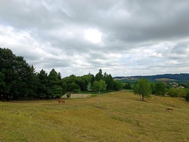 Csesznek