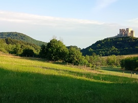 Csesznek