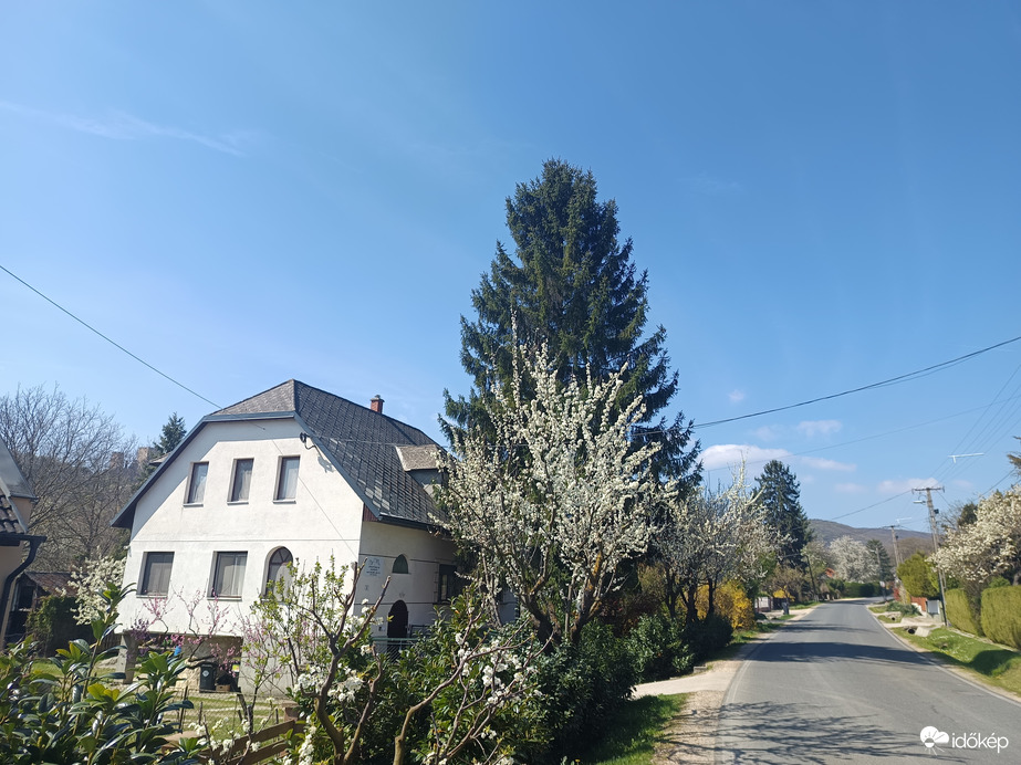 Csesznek