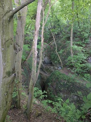 Csesznek
