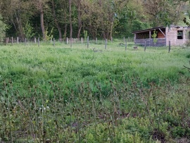 Csesznek
