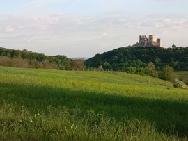 Csesznek