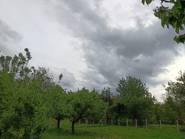 Csesznek