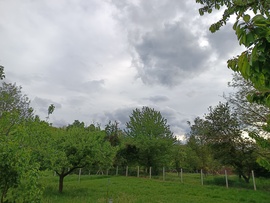 Csesznek