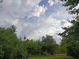 Csesznek