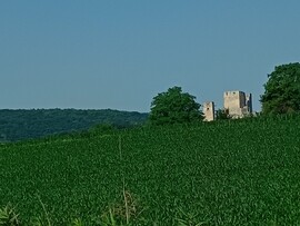 Csesznek