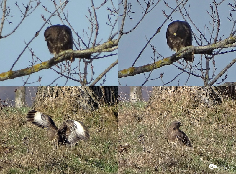 Kifizetődő türelem