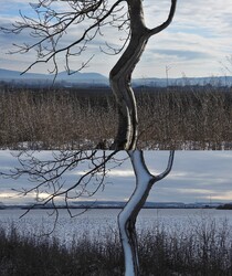 Némi arculatváltás