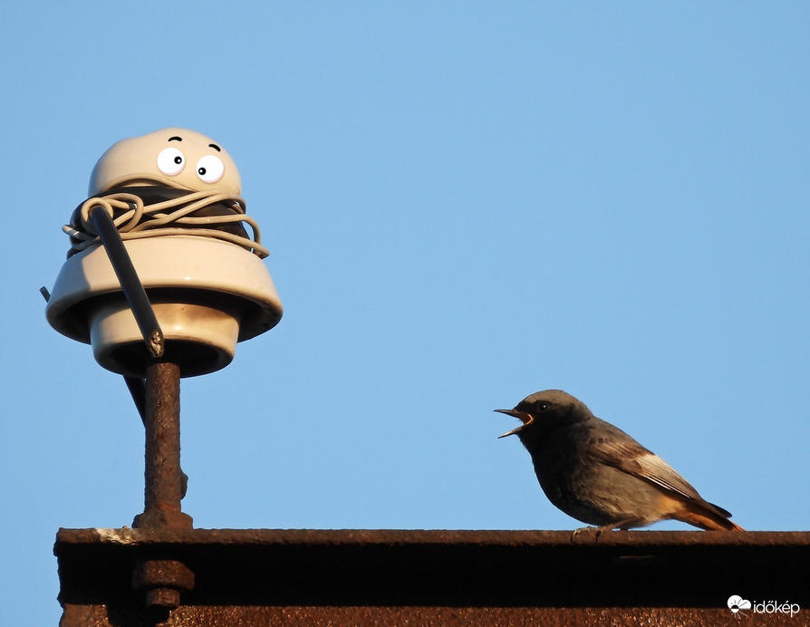 Te torony! Hol késik a  felszállási engedélyem?