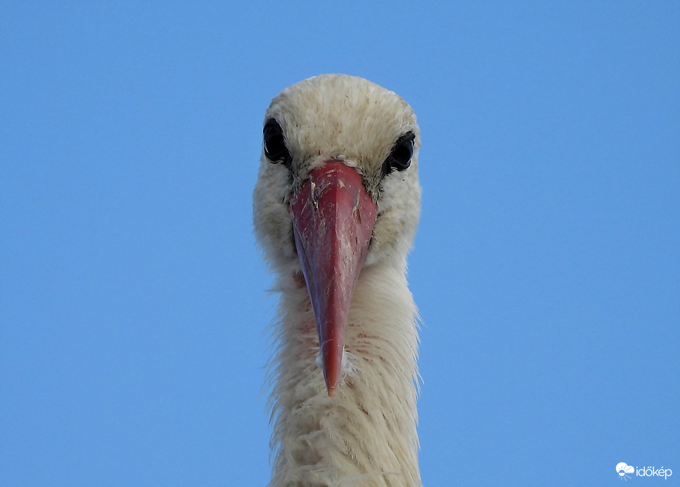 Hello!