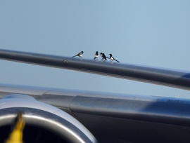 Reggeli megbeszélés