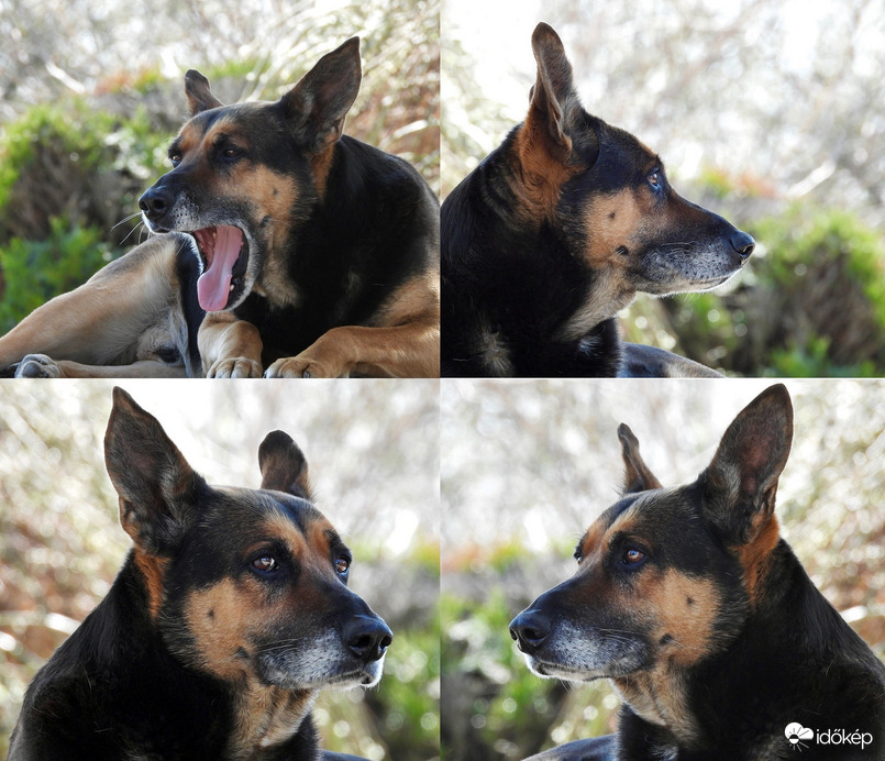 Óraátállítás? Hosszú hétvége? Ünnepnapok? 