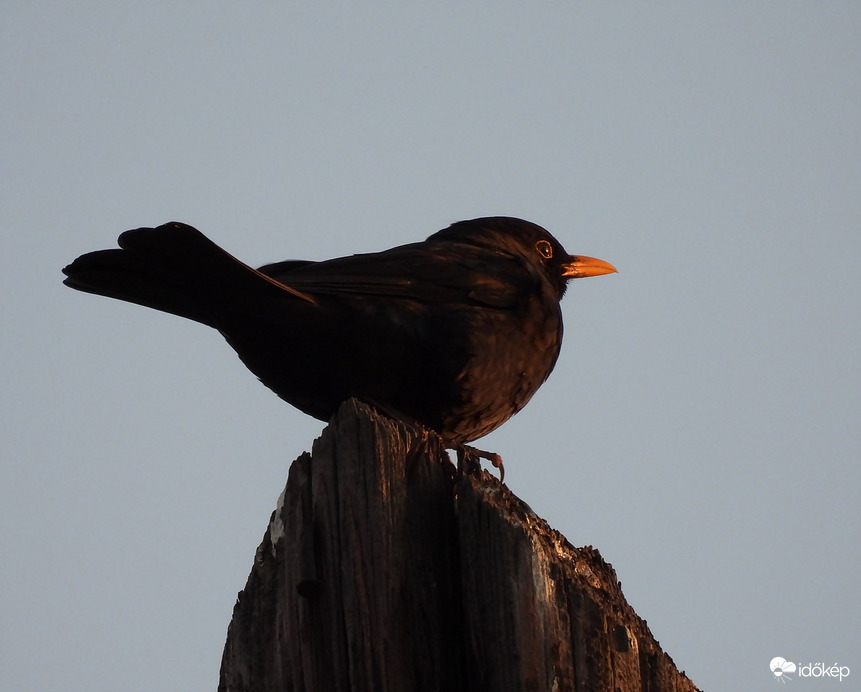 Szép nap volt a mai 