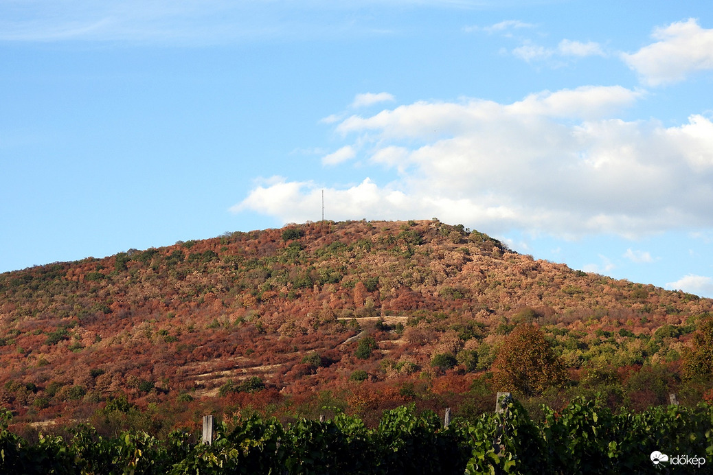 Korrózió 