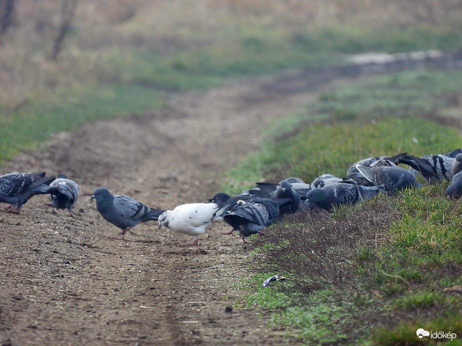 Akik keresnek, találnak! 