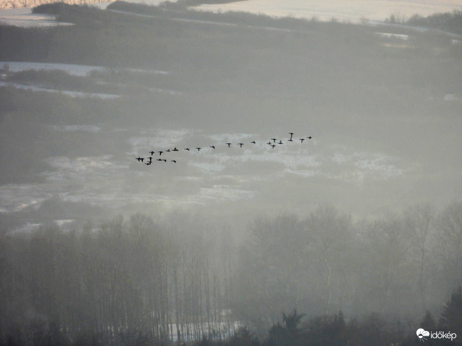 Vadlibák a távolban 1. 