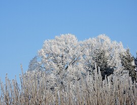 Napsütötte fagyban 