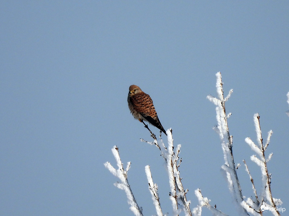 Valami megváltozott
