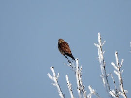 Valami megváltozott