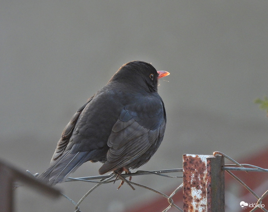 Utolsó napsugarak, mára ennyi volt