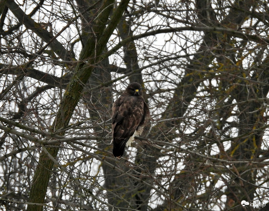 Mozdulhatna már valami