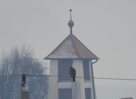 Újabban aggályaim vannak  