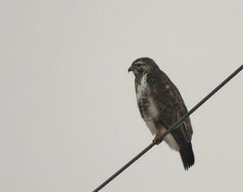 Hol órák, hol csak percek 