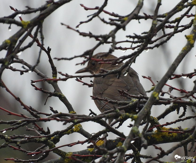 Ez egy ilyen nap volt 