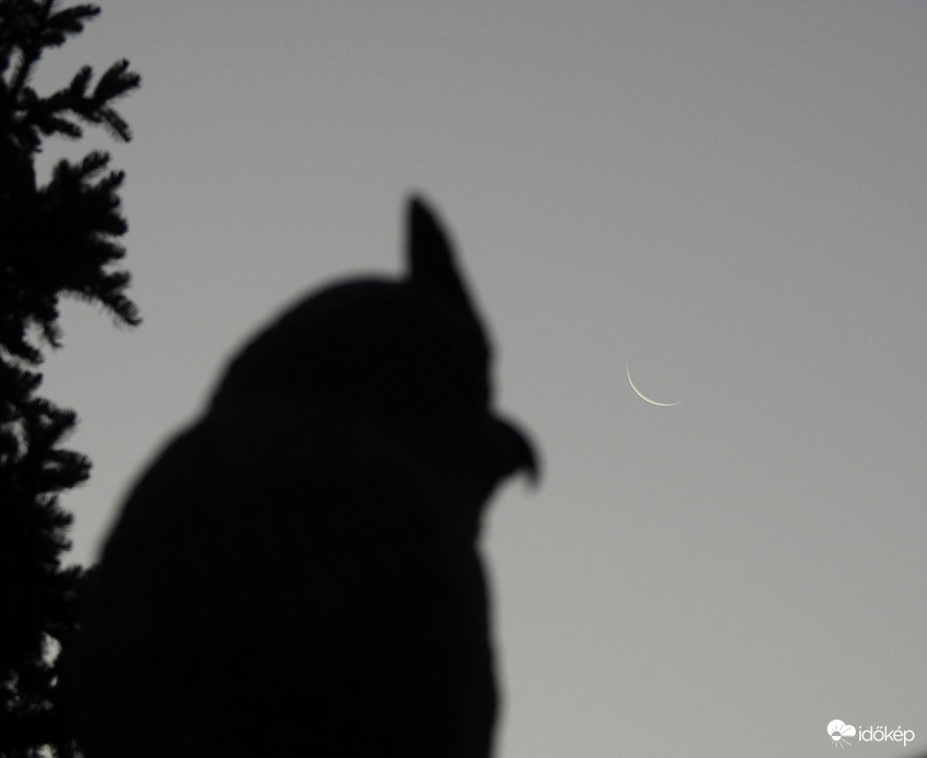 Egy újabb szemszögből 