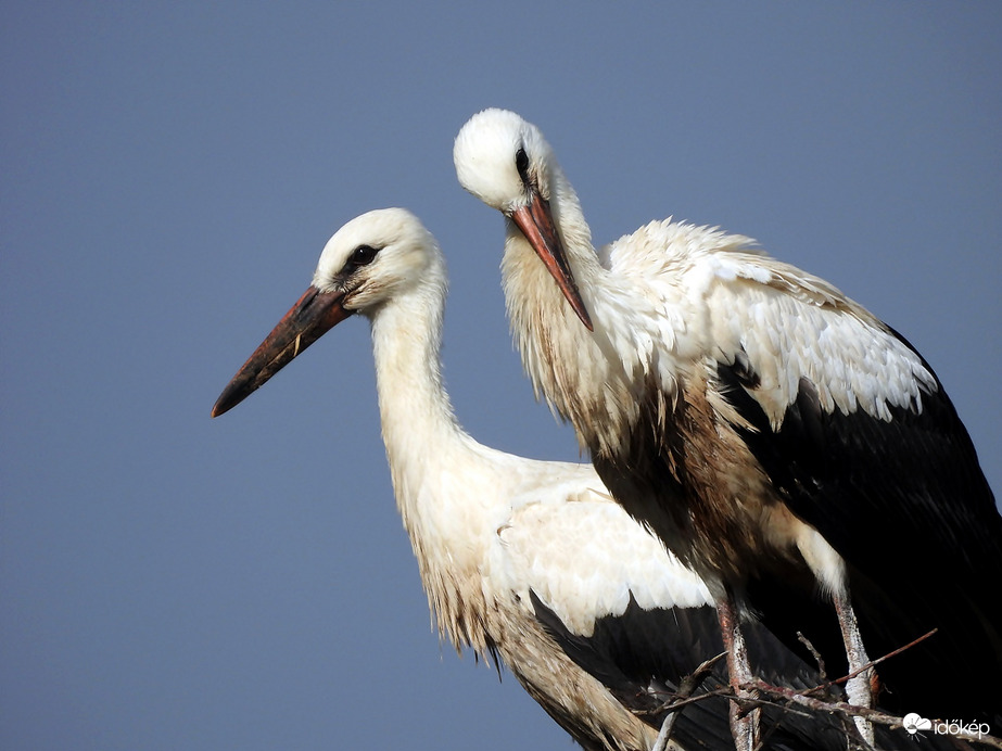 Nagymosás volt,  de nem látszik
