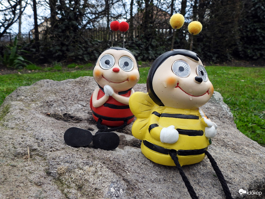 Ilyen szélben nem vállalunk beporzást 