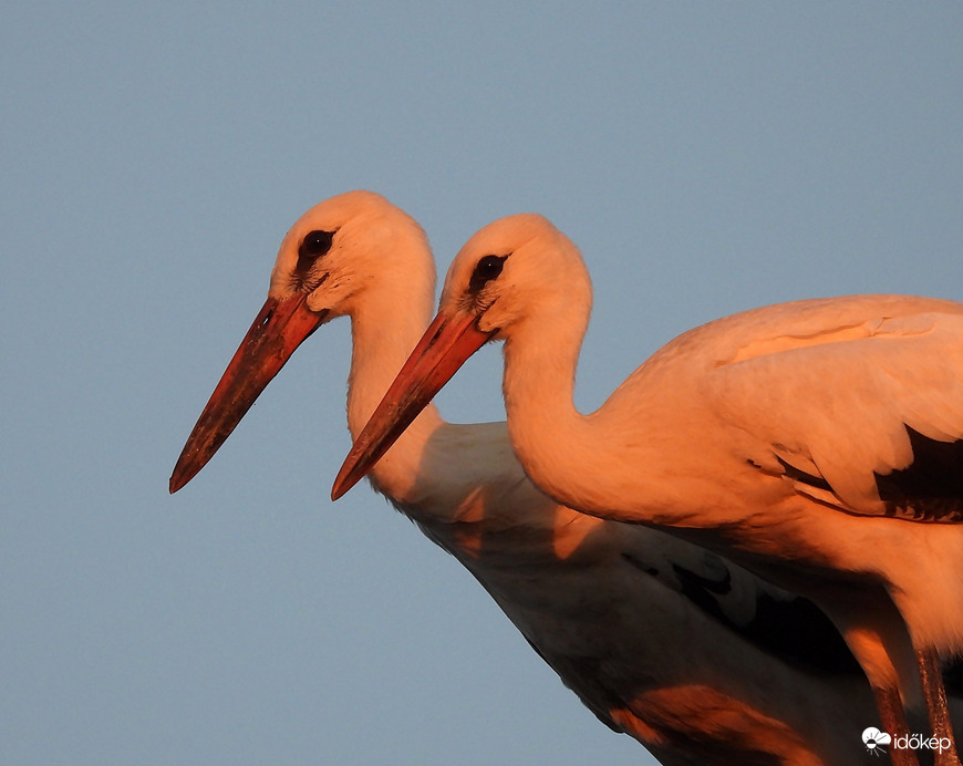 Tesók a naplementében 