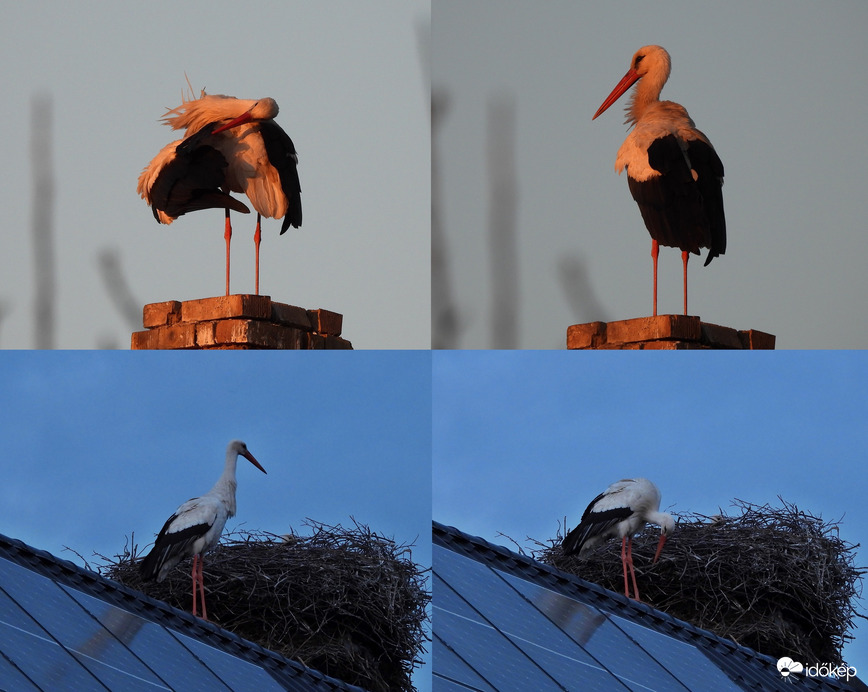 Napnyugta előtt, után 