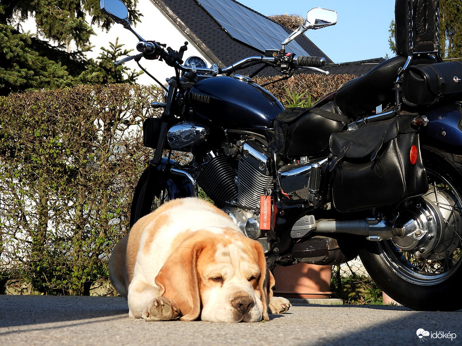 Artemis 3 -on gondolkodom, vajon talajt fog? 