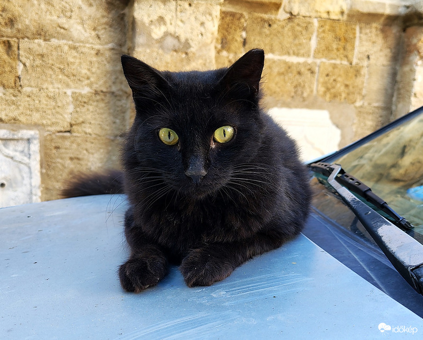 Észlelő vagyok én is!  