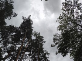 Hegyhátszentjakab