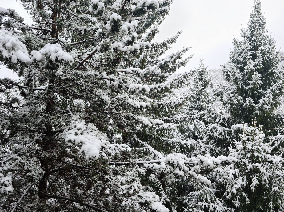 Budapest XIII.ker - Újlipótváros