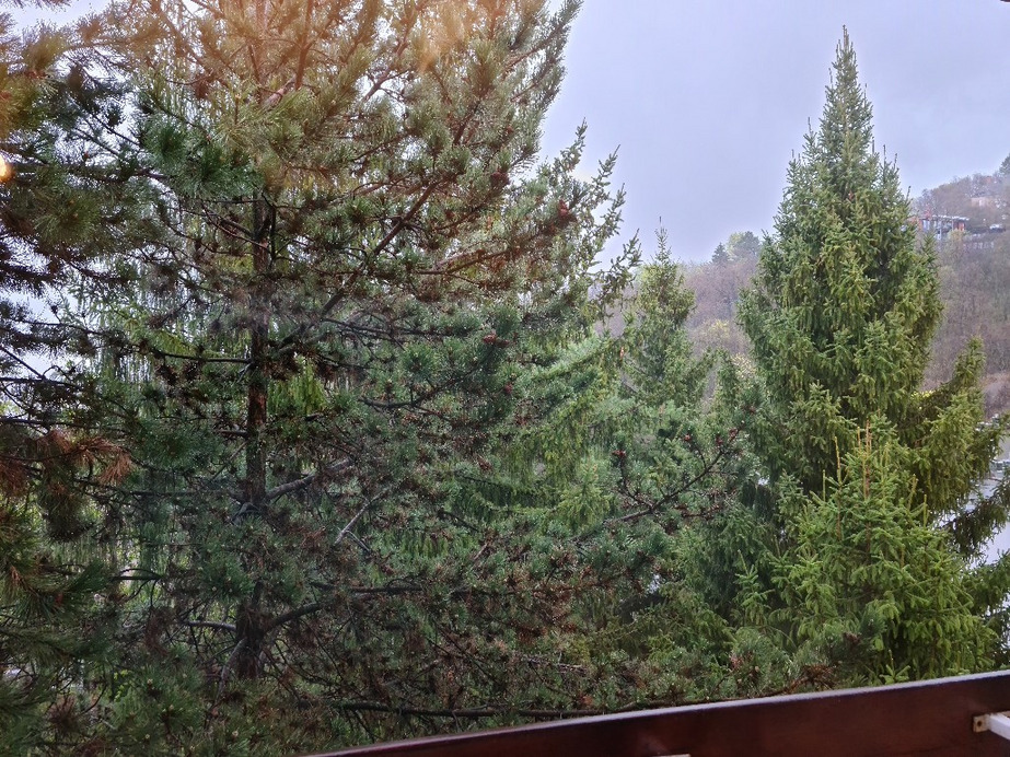 Budapest XII.ker - Zugliget