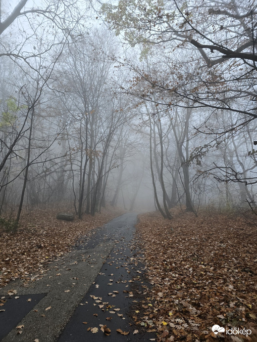 Budapest XII.ker - Normafa