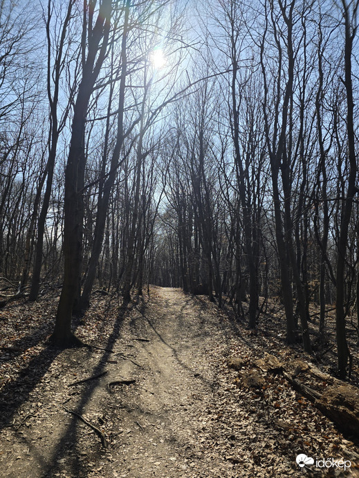 Budapest XII.ker - Normafa