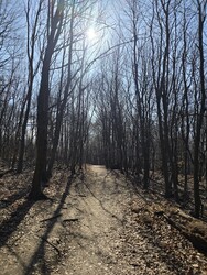 Budapest XII.ker - Normafa