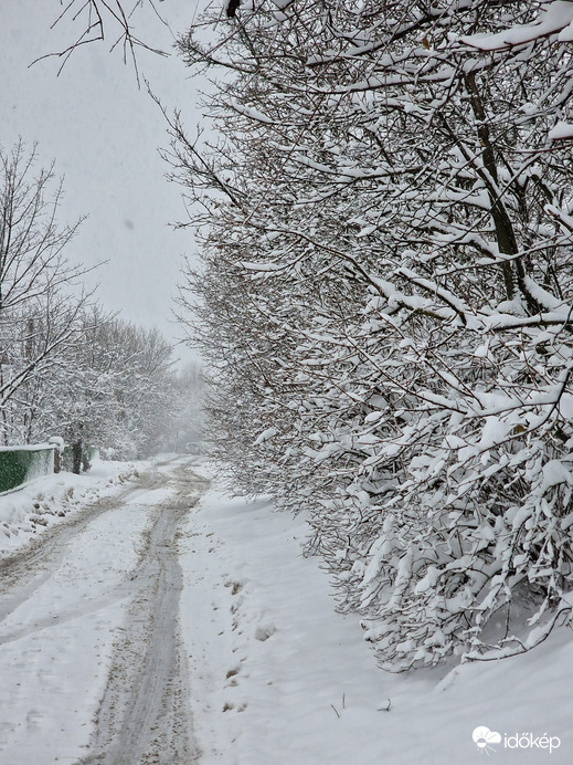 Budapest XII.ker - Széchenyi-hegy
