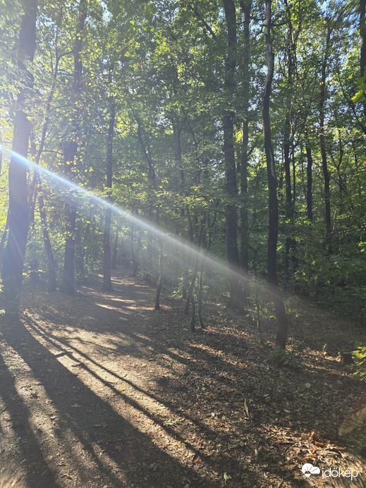 Budapest XII.ker - Normafa