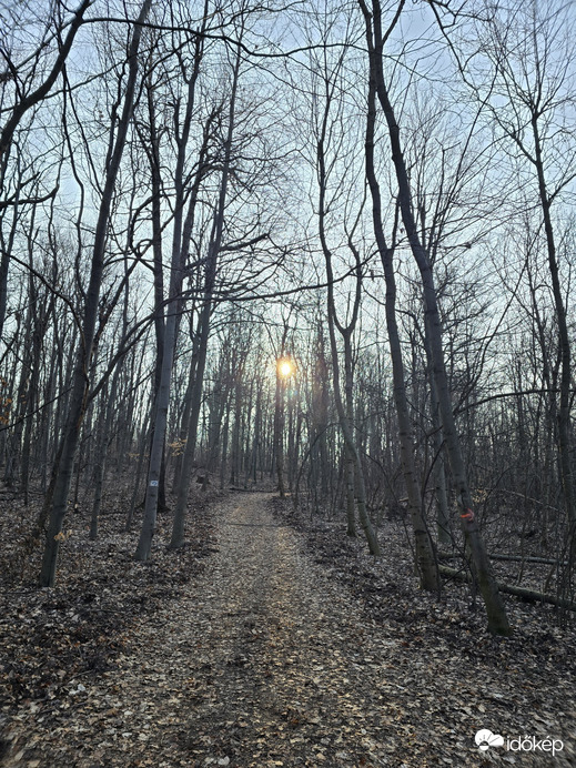 Budapest XII.ker - Normafa