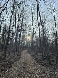 Budapest XII.ker - Normafa