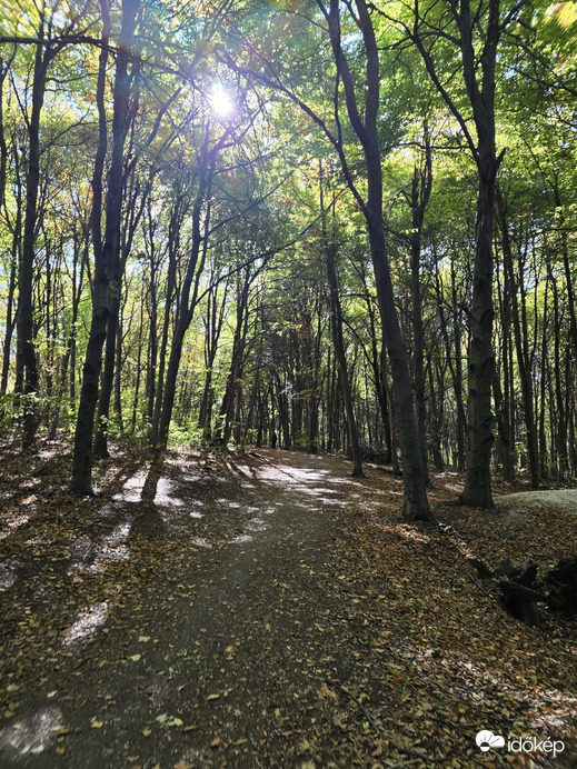 Budapest XII.ker - Zugliget