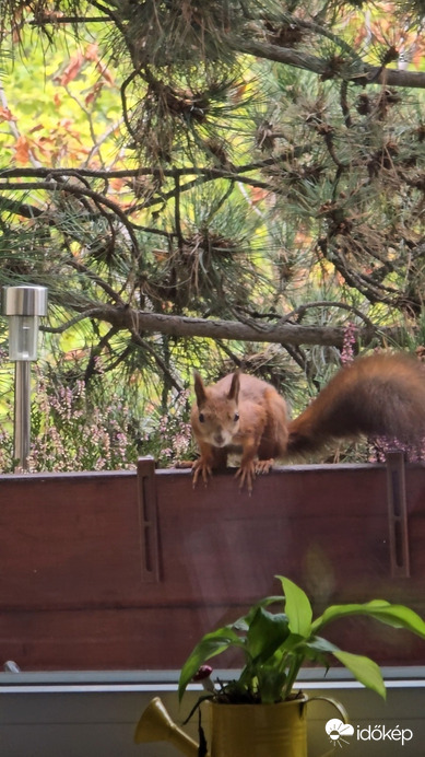 Budapest XII.ker - Zugliget