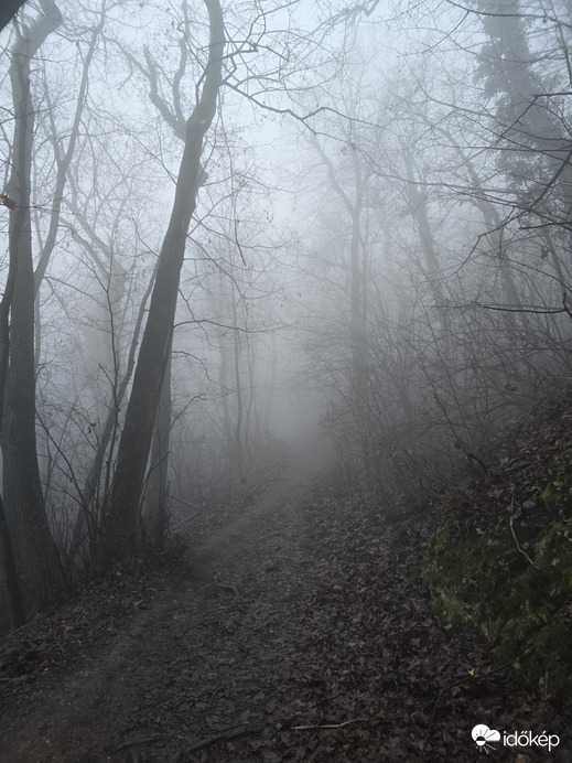 Budapest XII.ker - Normafa