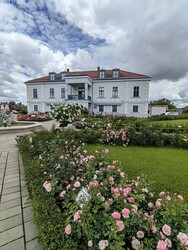 Nyírszőlős